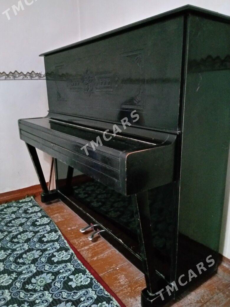 piano - Сакарчага - img 2