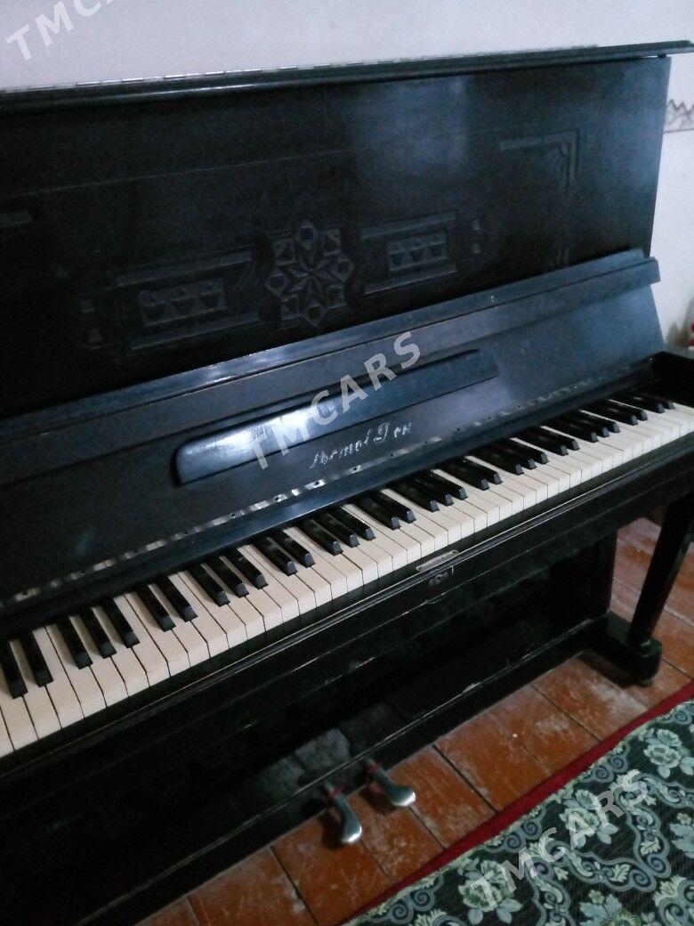 piano - Сакарчага - img 4