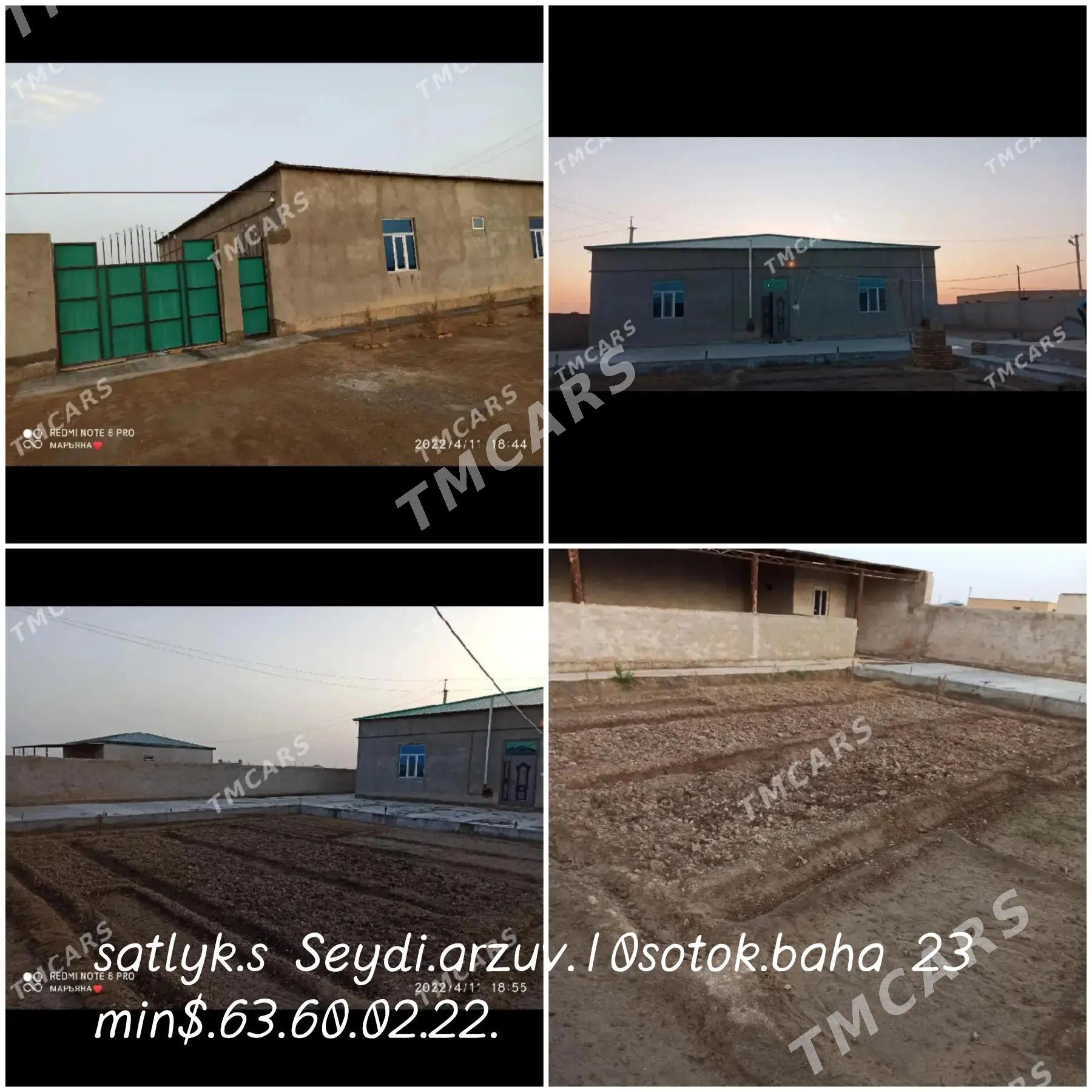 Плановый дом - Сейди - img 3