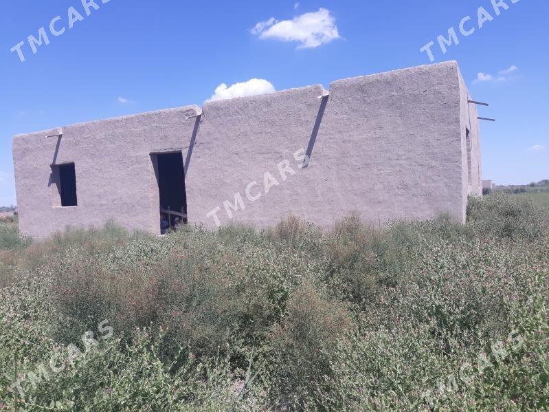 satlyk jay S Turkmenbaşy etrap - етр. Туркменбаши - img 2
