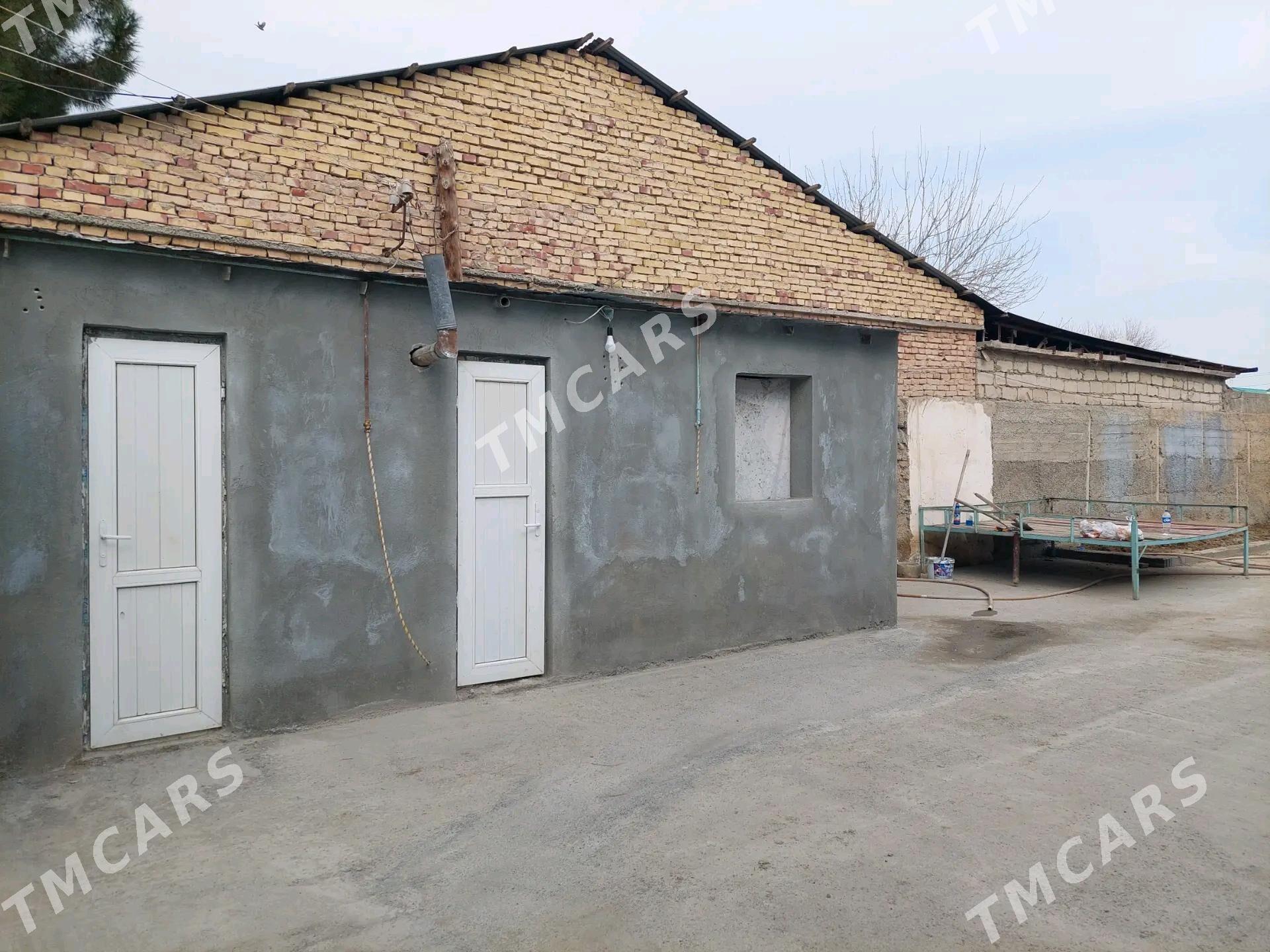 Búzmeýin güneş - Бузмеин - img 4