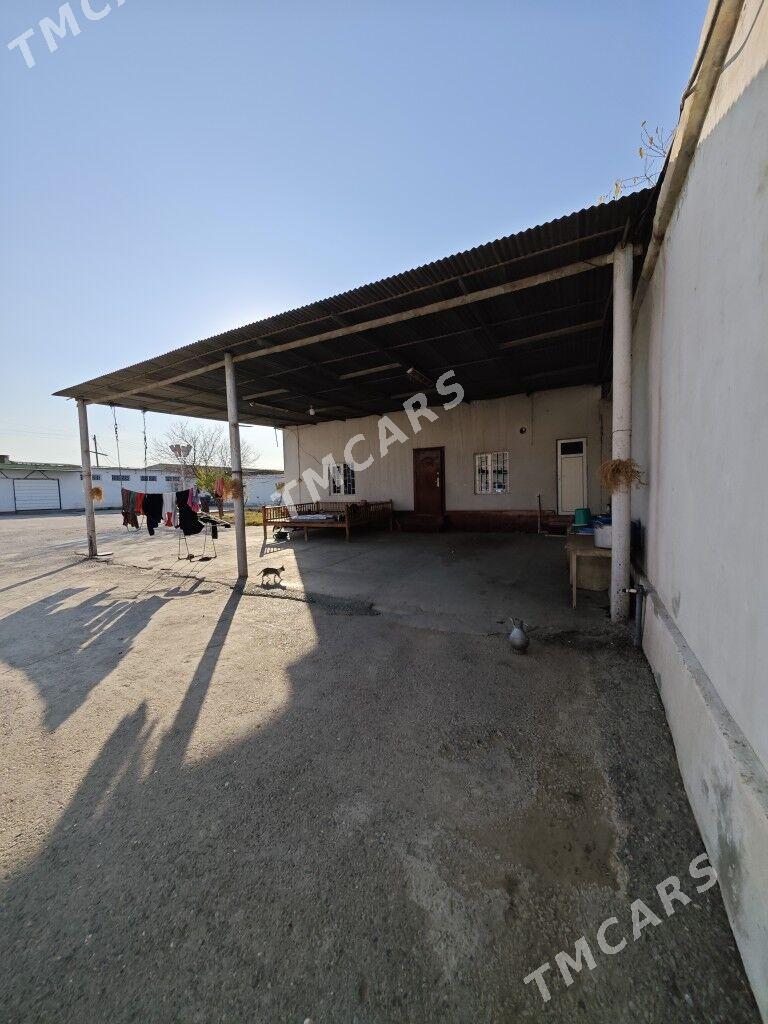 Satlyk Jay Garadamak 24 sotka - Aşgabat - img 3