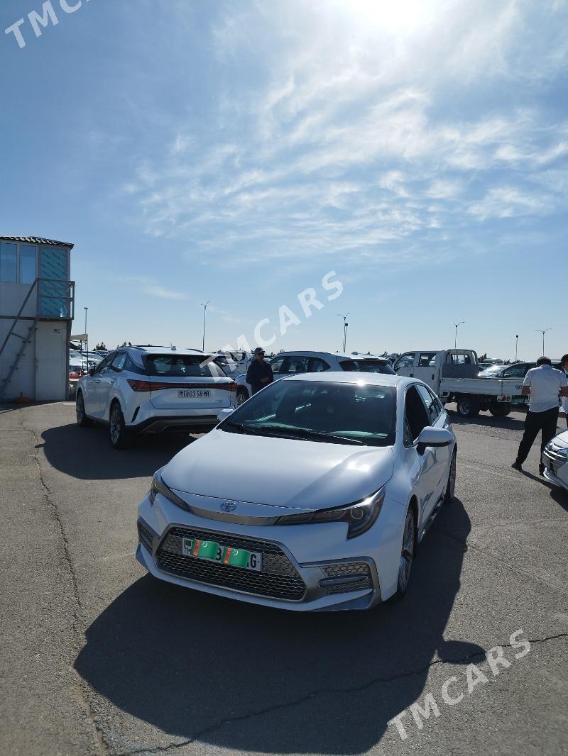 Toyota Corolla 2020 - 239 000 TMT - Ашхабад - img 4