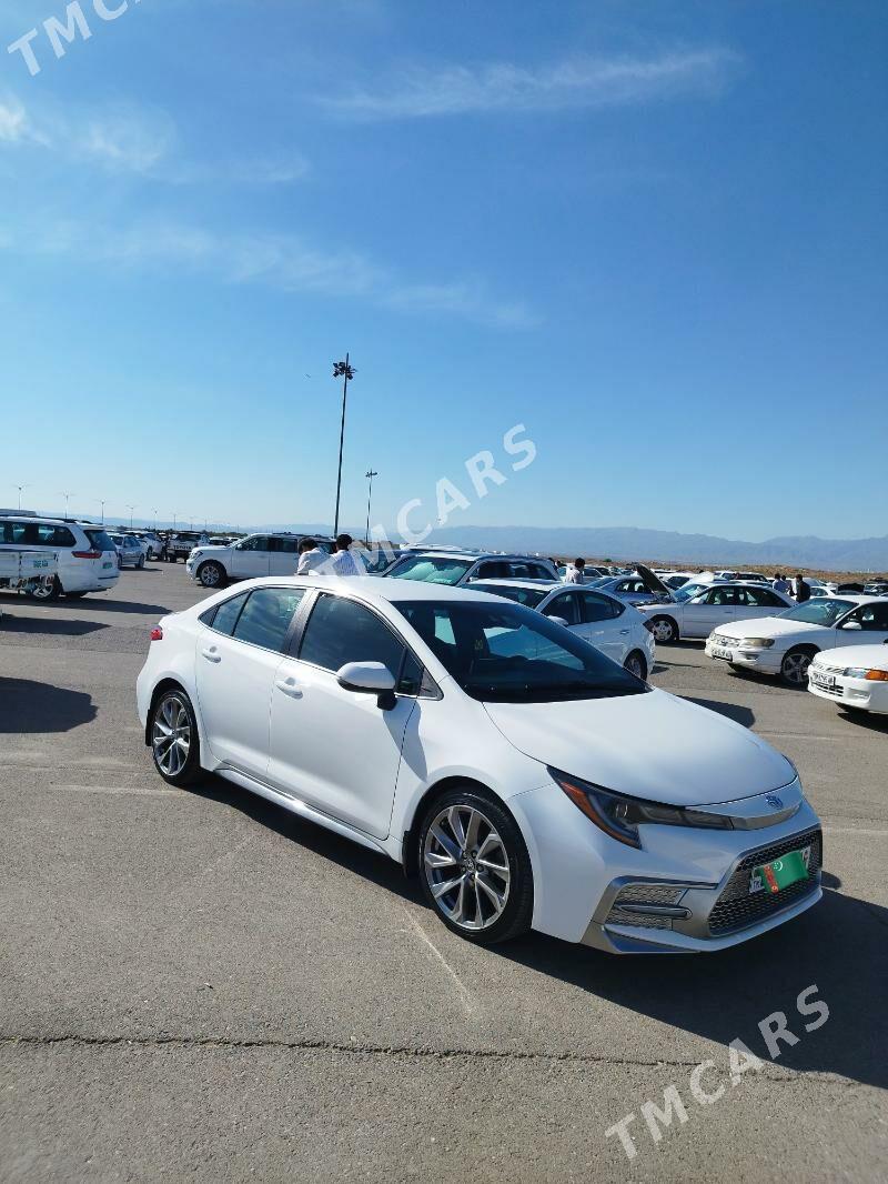 Toyota Corolla 2020 - 239 000 TMT - Ашхабад - img 8