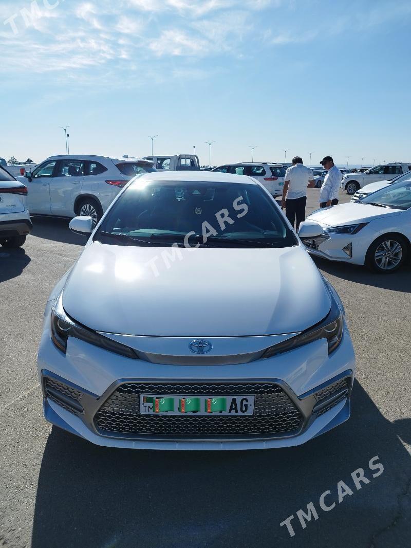 Toyota Corolla 2020 - 239 000 TMT - Ашхабад - img 2