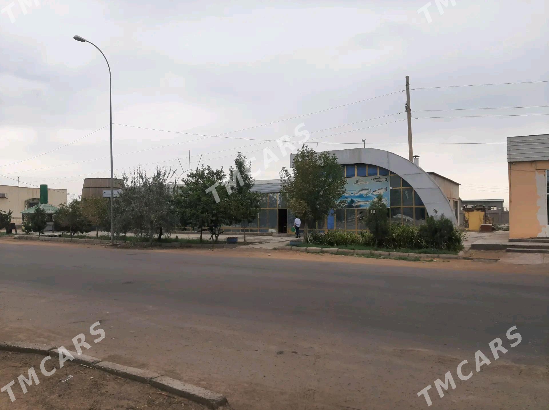 kafe gundogar - Дашогуз - img 2
