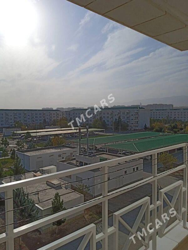 taslama jay - Aşgabat - img 9