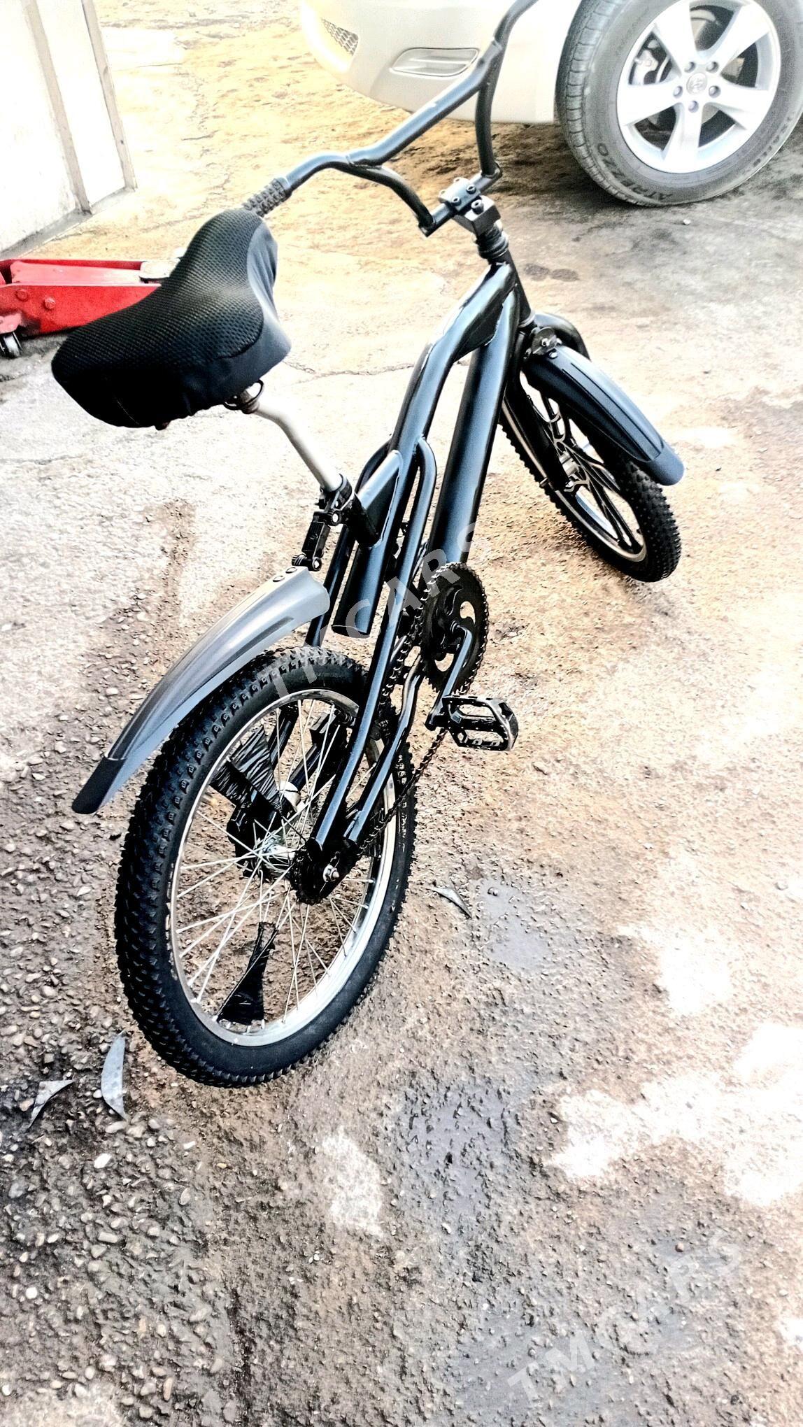 tıgır 20 lık - Aşgabat - img 2