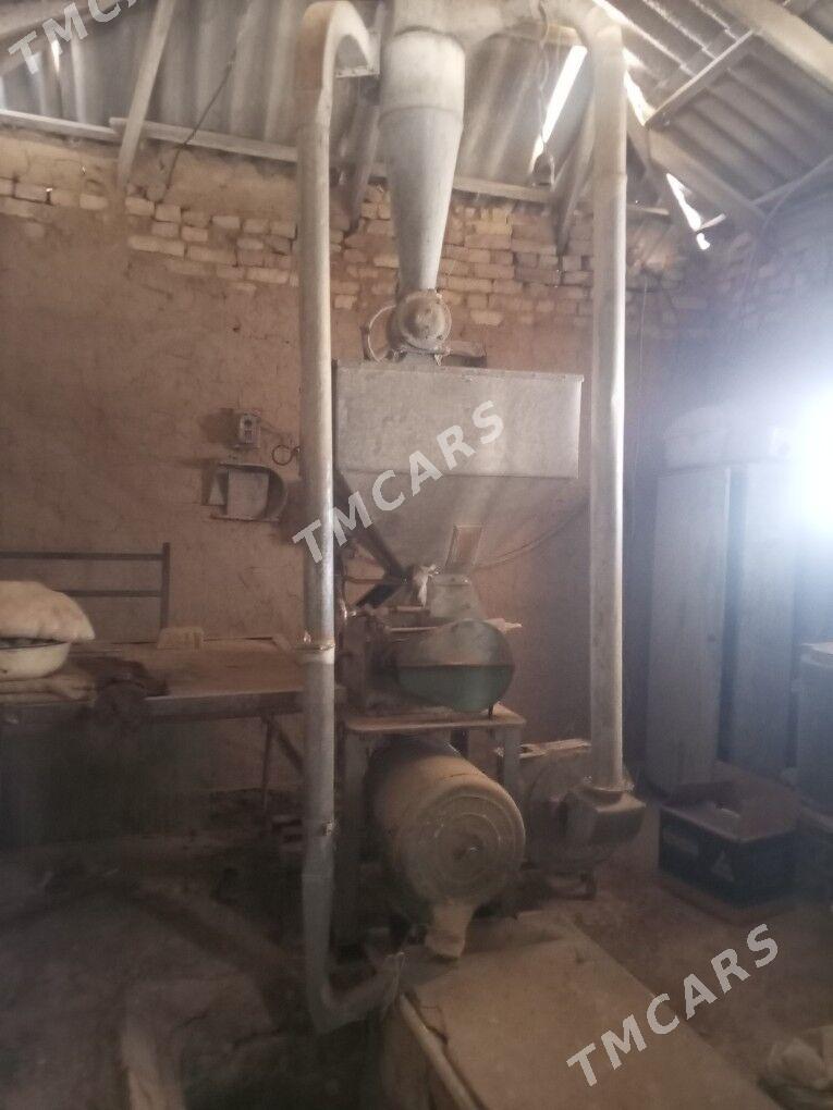 Haraz - Murgap - img 3