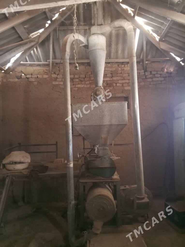 Haraz - Murgap - img 2