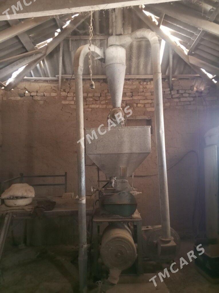 Haraz - Murgap - img 1