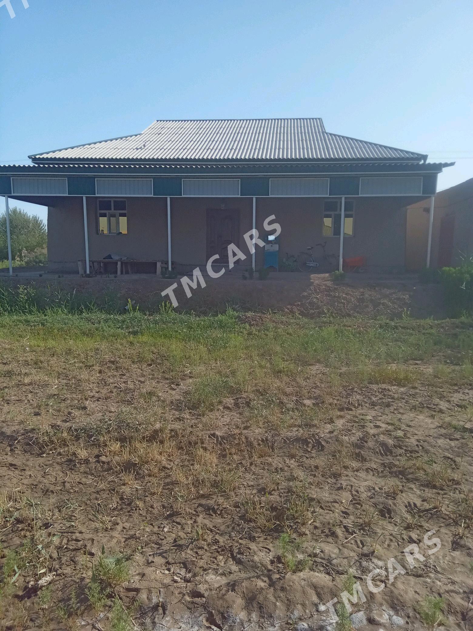 satlyk.jaylar. - Köneürgenç - img 2