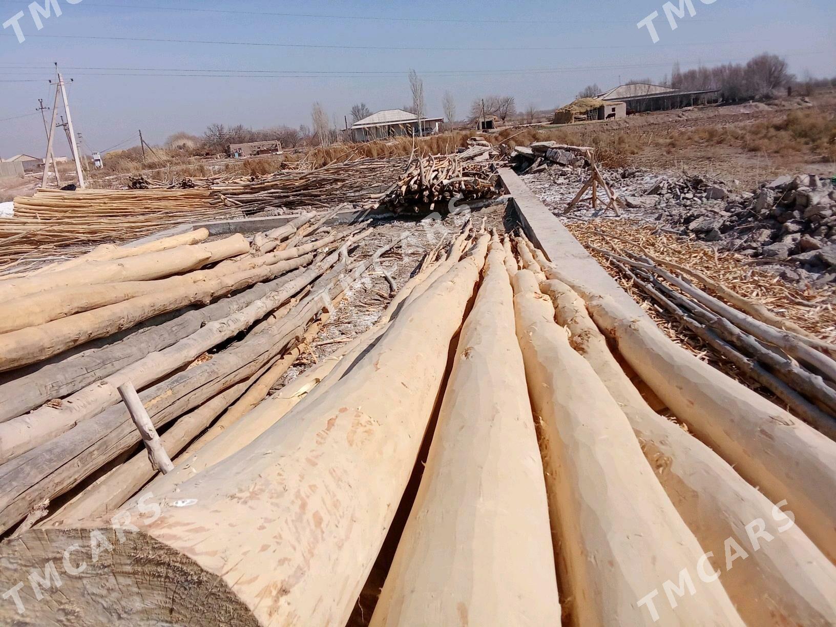 agaç agac агач carhow strepile - Boldumsaz - img 4