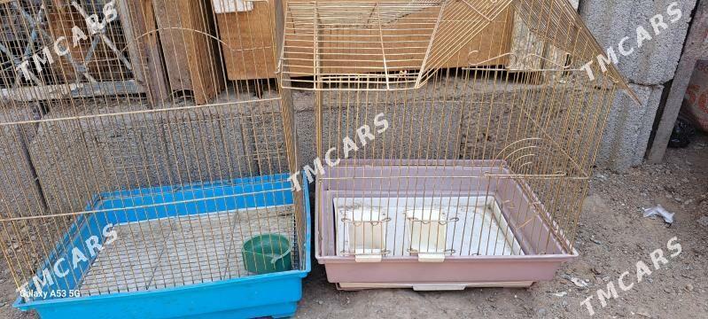 pobugay setka - Ашхабад - img 2