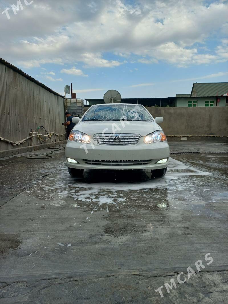 Toyota Corolla 2003 - 95 000 TMT - Ашхабад - img 2