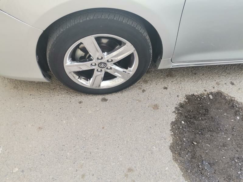 Palta Hrom Org SE 5 300 TMT - Aşgabat - img 5