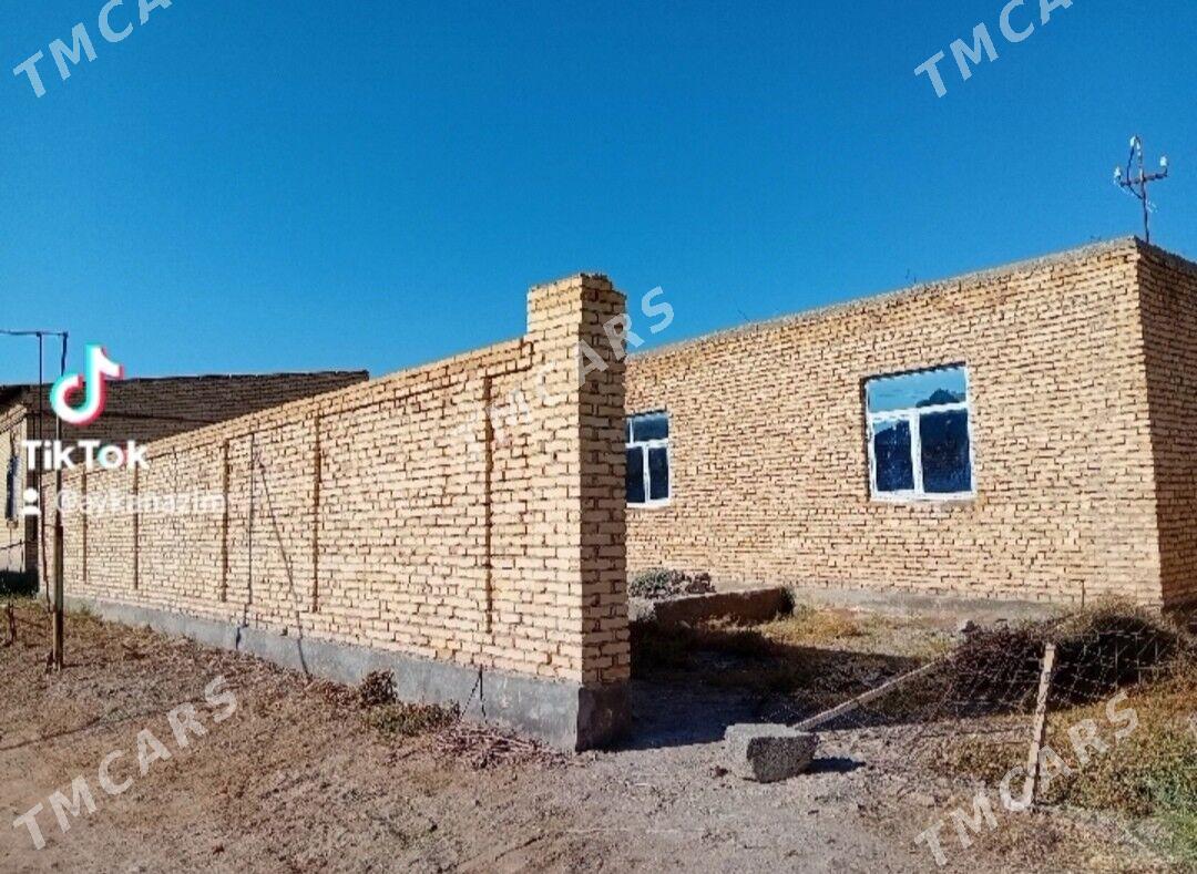 Daca - Туркменабат - img 3