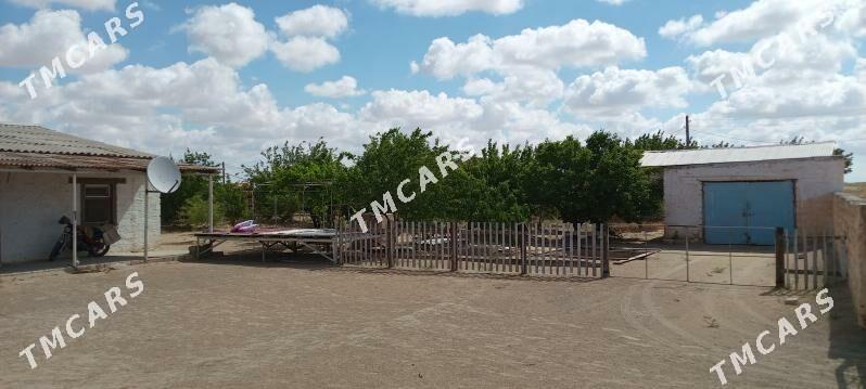 Satlyk Obmen - Türkmenbaşy - img 2