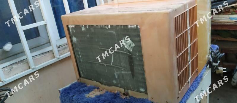 kansener - 11 mkr - img 2