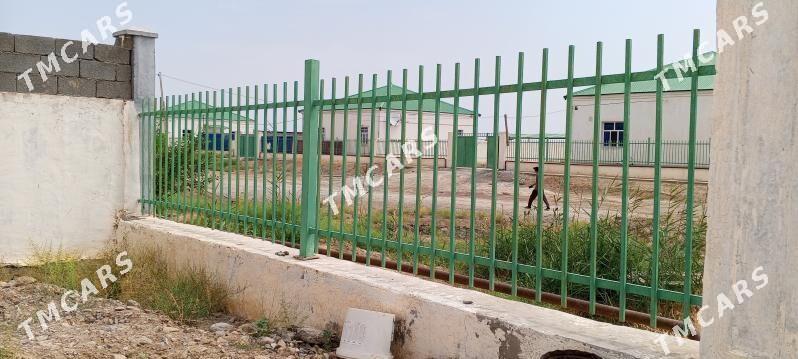 reşotga - Gökdepe - img 2