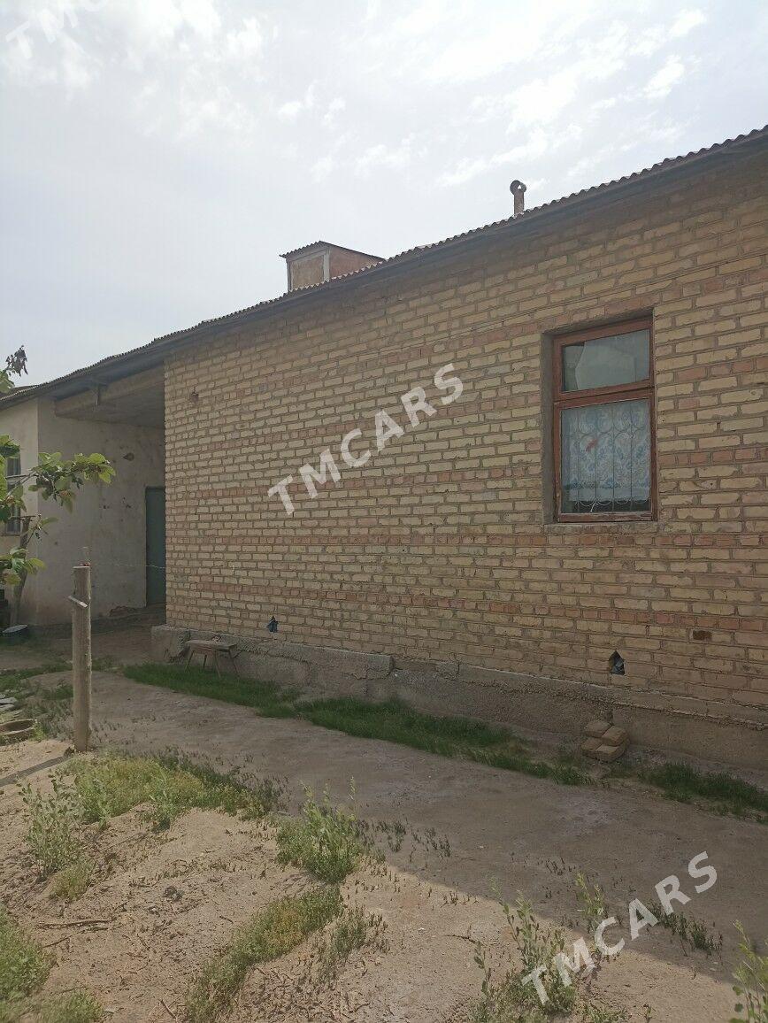Ayraport daça - Türkmenabat - img 3