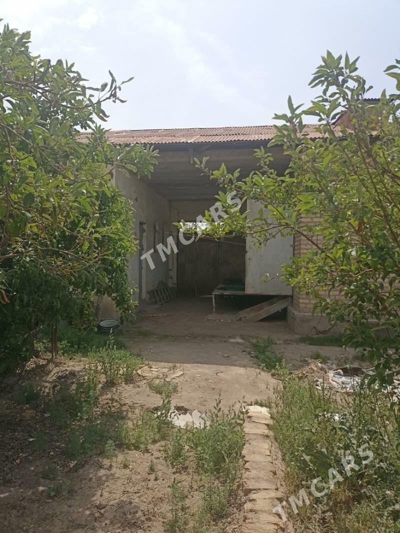 Ayraport daça - Türkmenabat - img 2