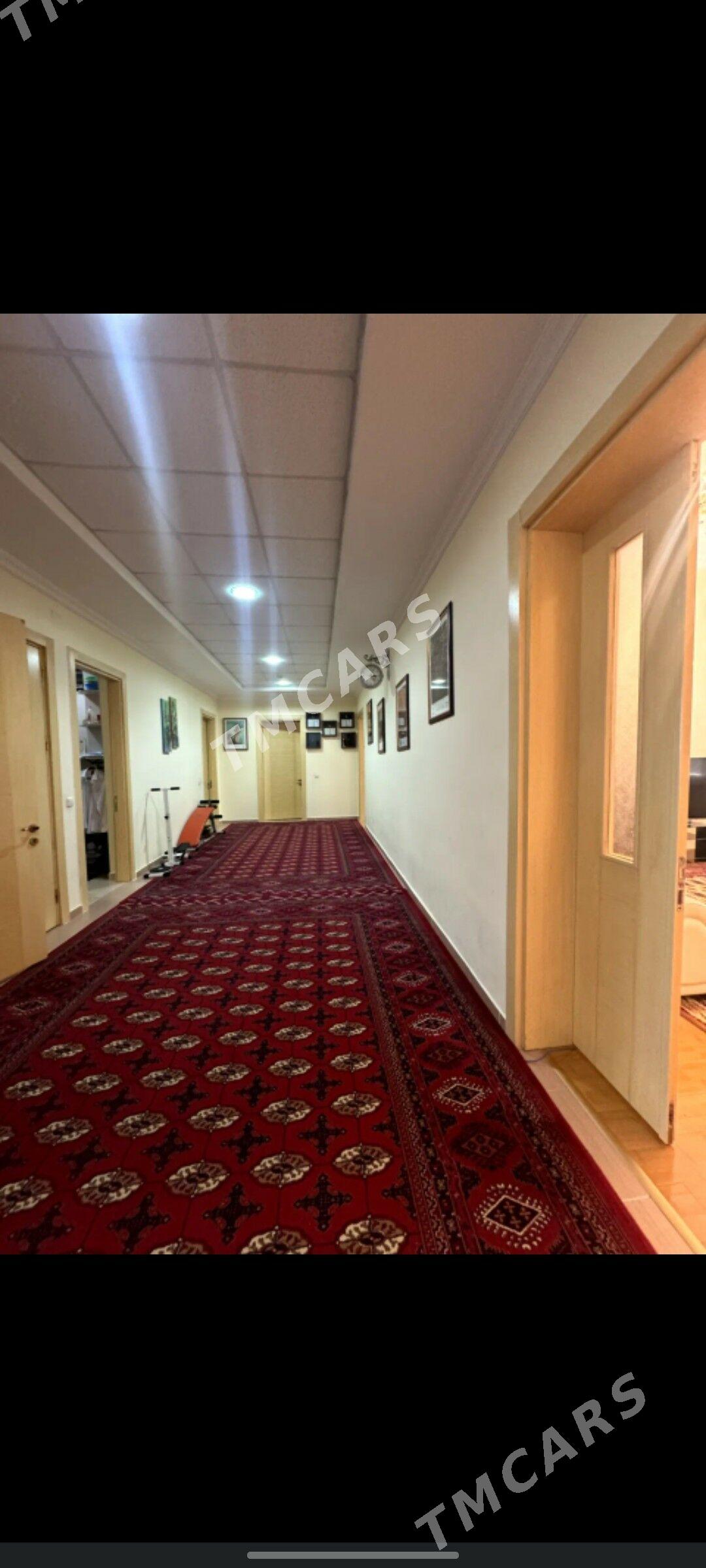 Satlyk Ata turk elitka - Aşgabat - img 7