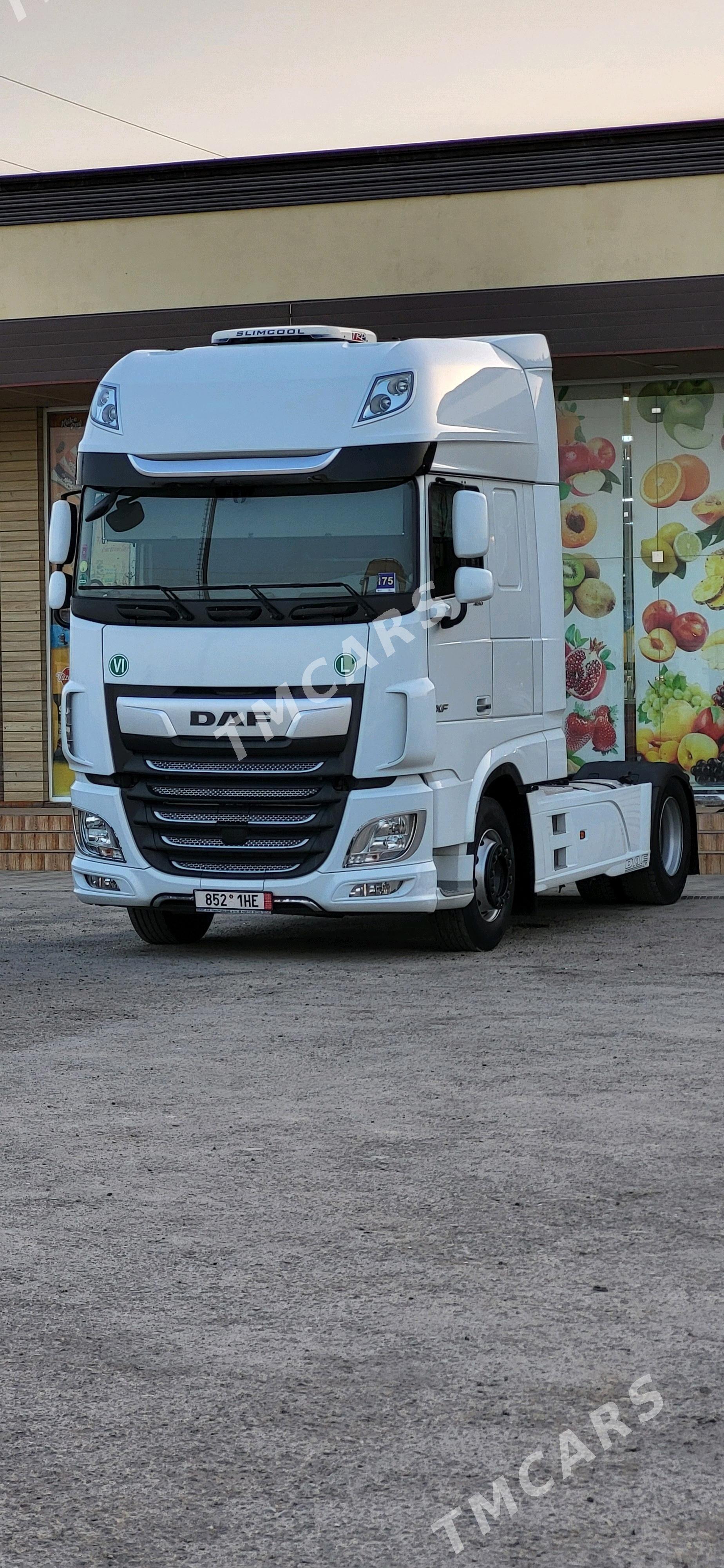 DAF 480 2021 - 867 000 TMT - Mary - img 2