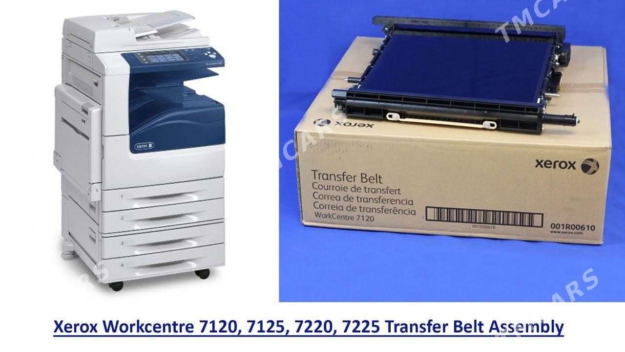 XEROX transfer belt assembly - Aşgabat - img 2
