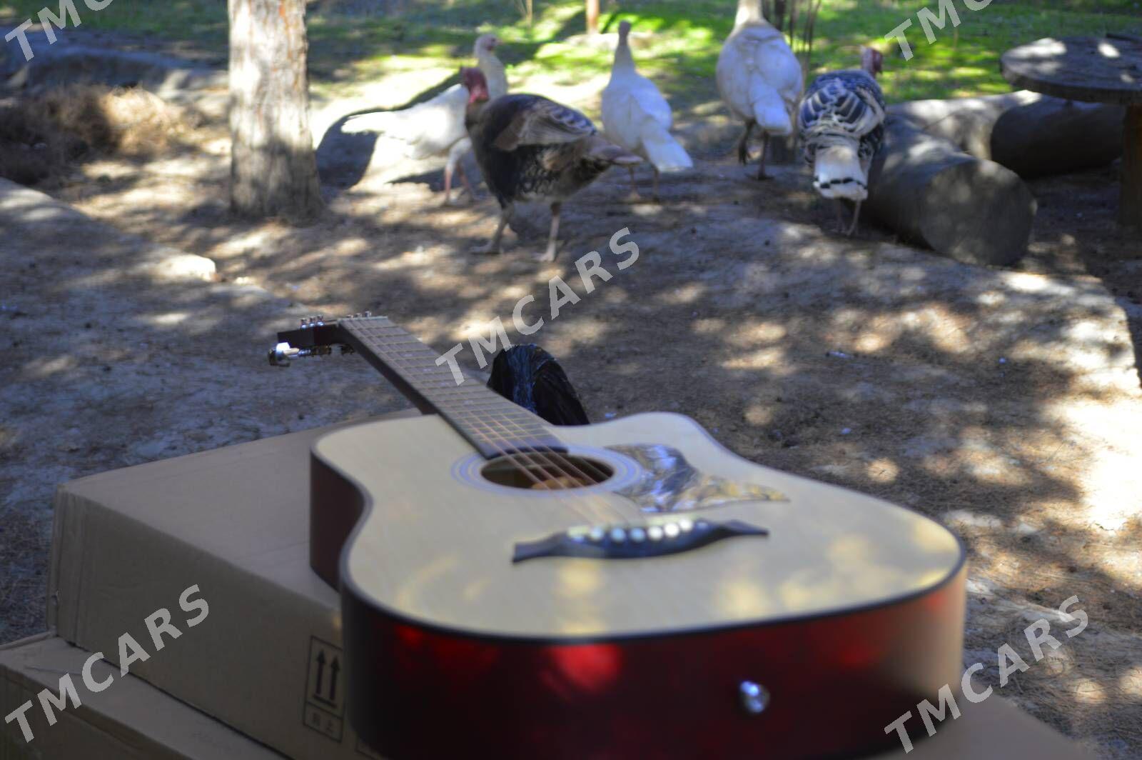 aksesuarly komplekt gitara - Кёнеургенч - img 8