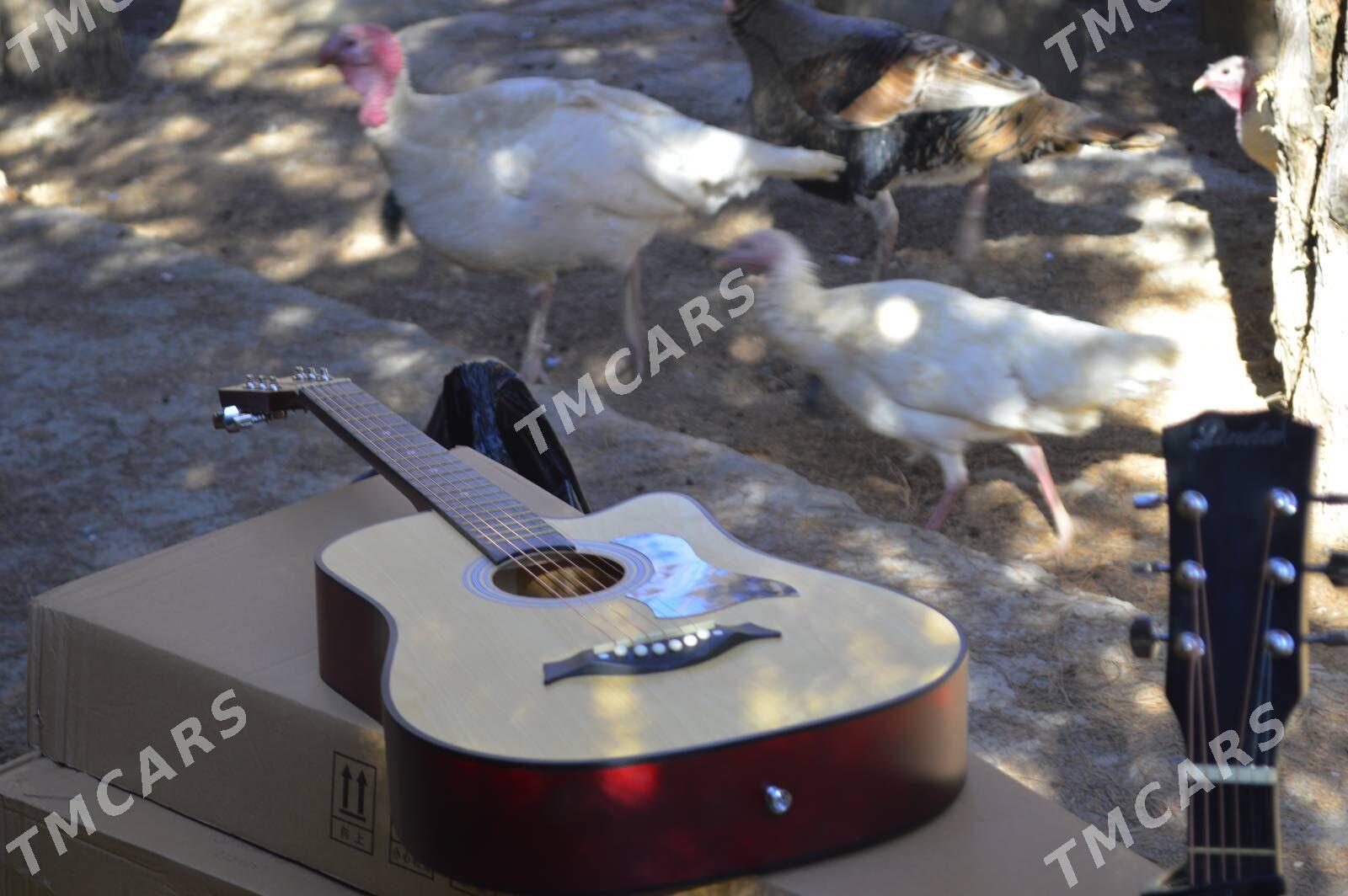 aksesuarly komplekt gitara - Кёнеургенч - img 7