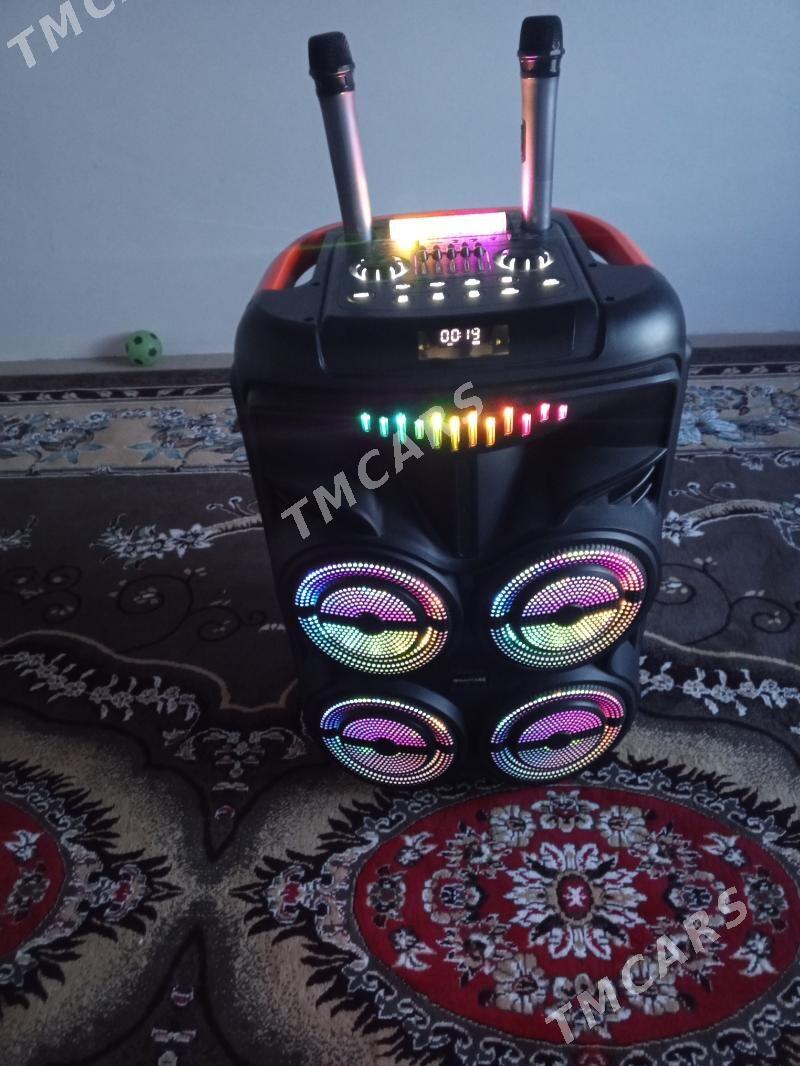 kaloňka mikrfon TOÝ  APRAT - Mary - img 3