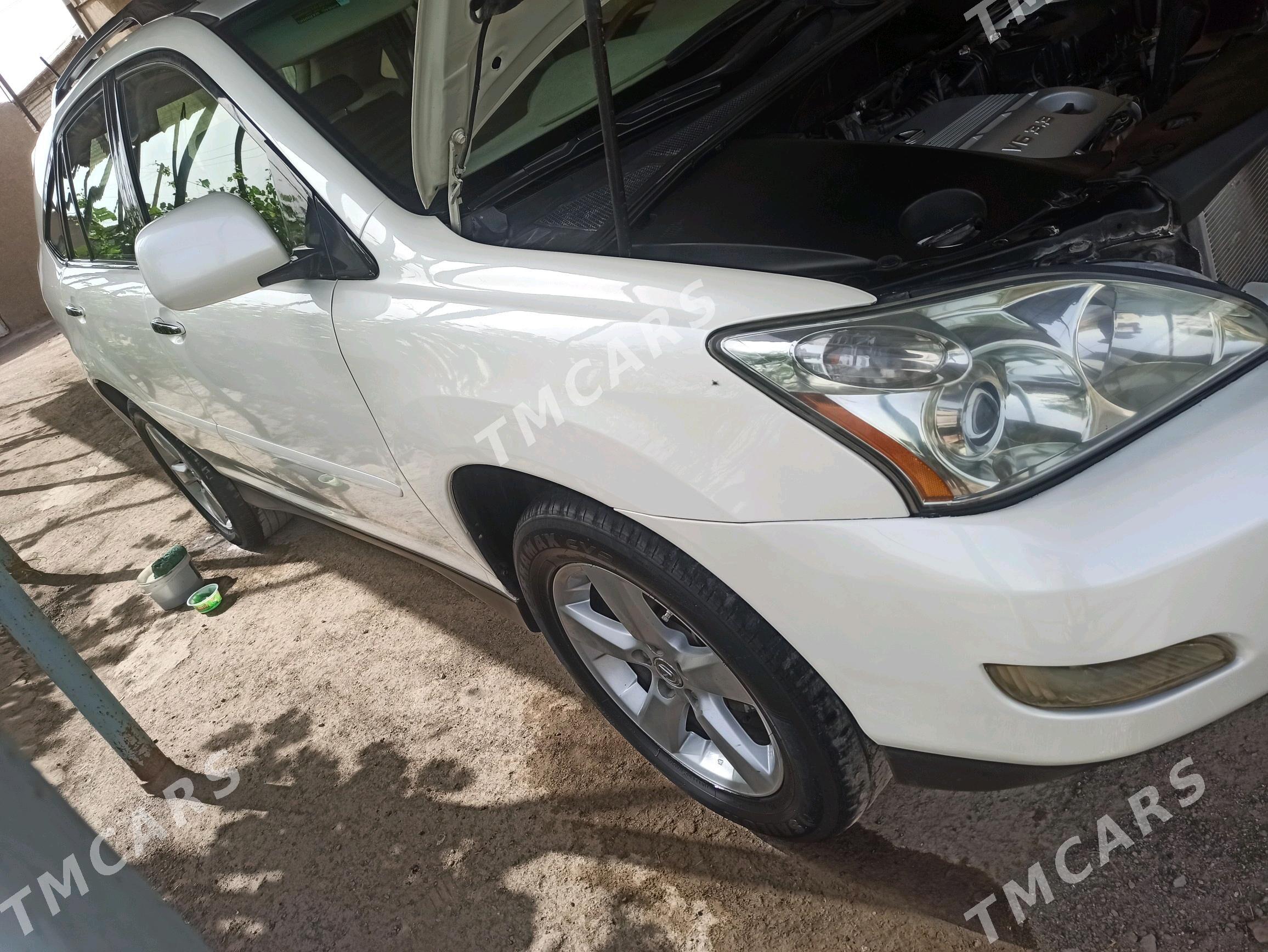 Lexus RX 330 2004 - 240 000 TMT - Гороглы (Тагта) - img 7