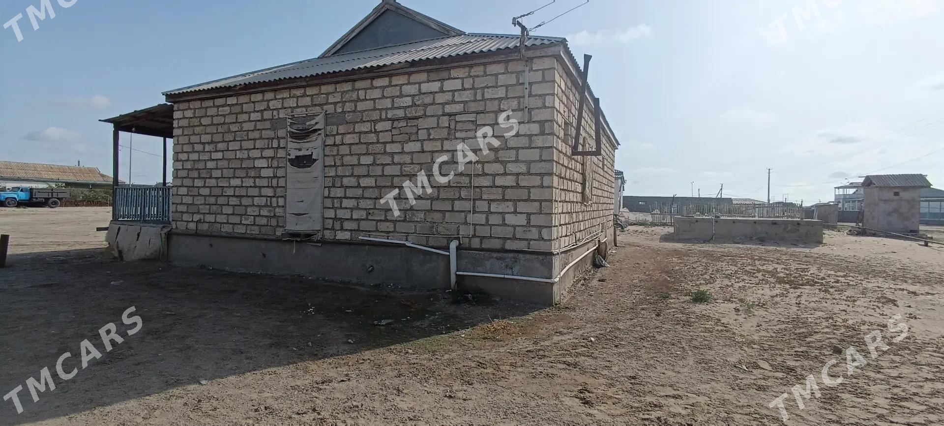 satlyk jaỳ - Эсенгулы - img 2