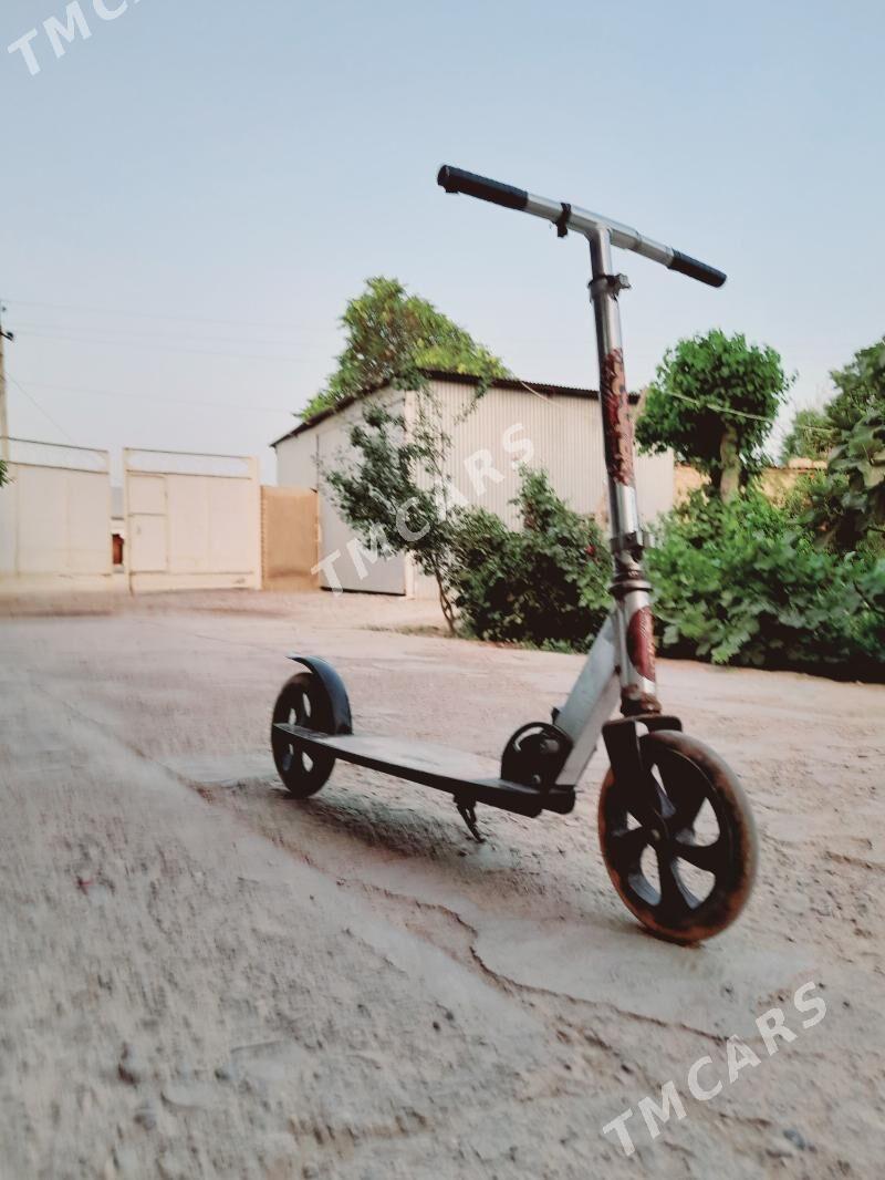 Samakar Scoter - Sakarçäge - img 2