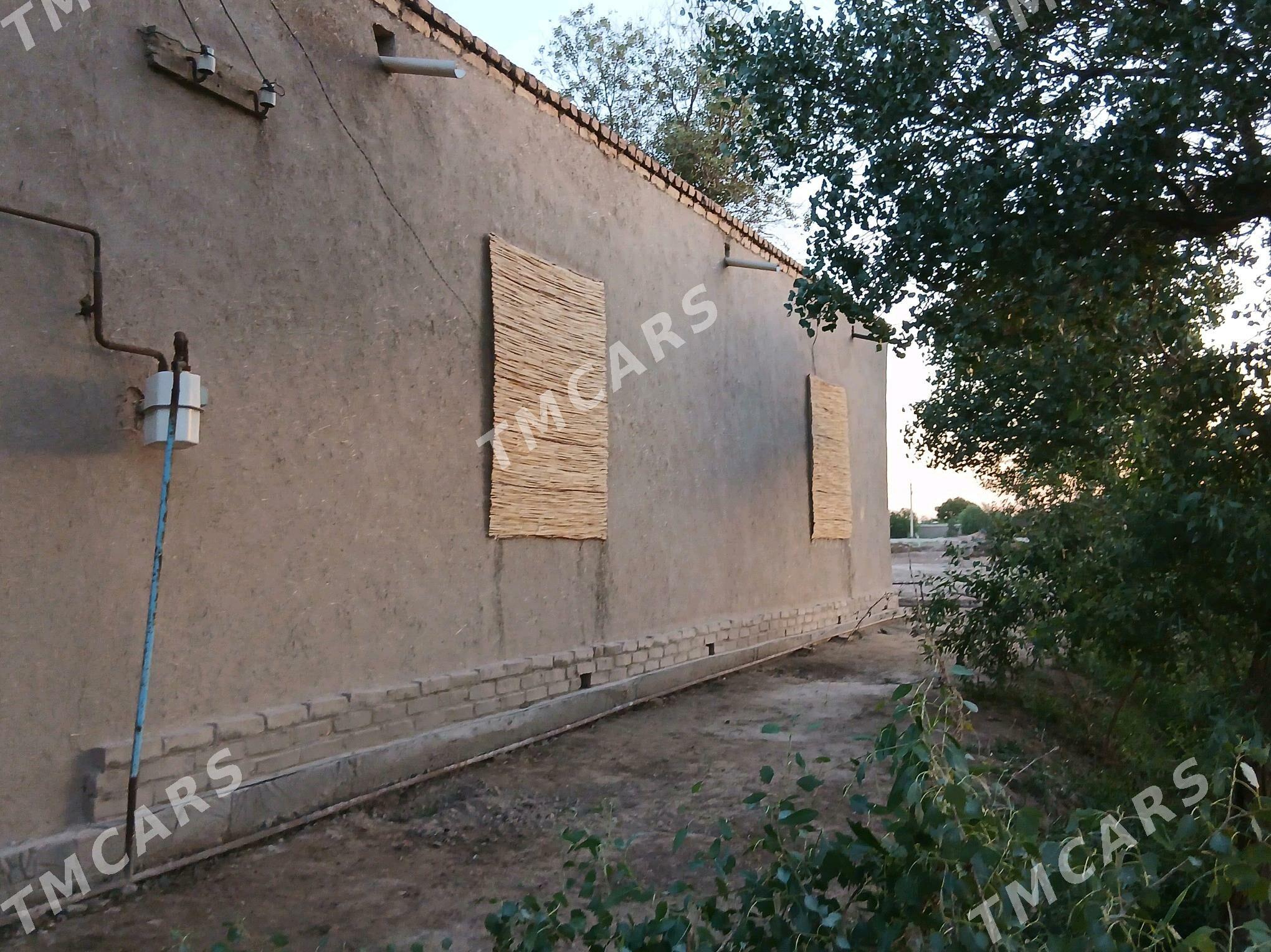 jay b seytakow koce - Türkmenbaşy etr. - img 2