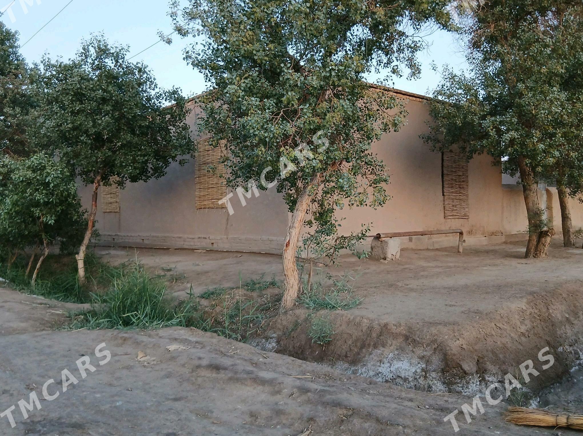 jay b seytakow koce - Türkmenbaşy etr. - img 3
