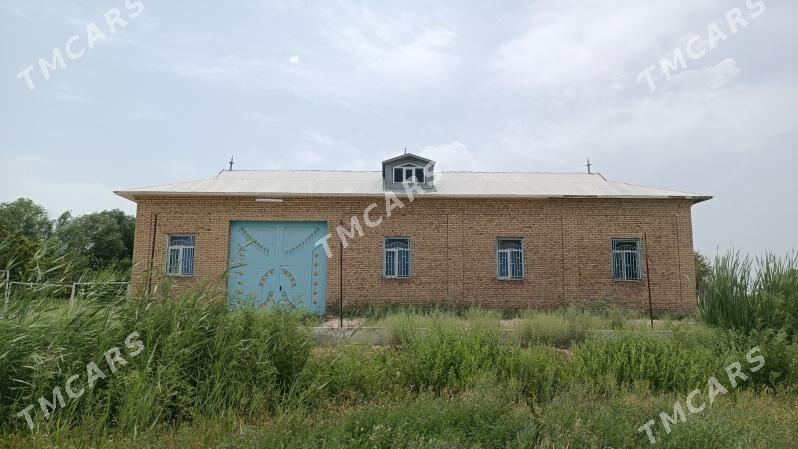 Дача 15 автопарк - Türkmenabat - img 4