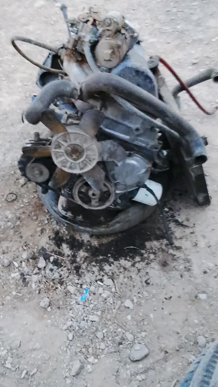 Diwitil  Lada 6 000 TMT - Bereket - img 2