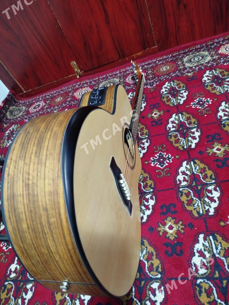 ️Studio akustik gitara гитара - Aşgabat - img 2