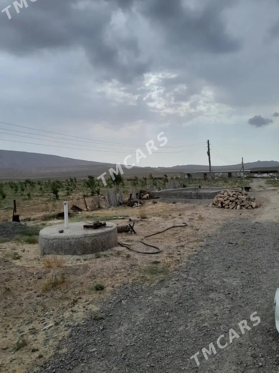 satlyk 4gekdar yer - Aşgabat - img 6