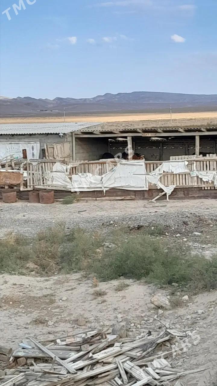 satlyk 4gekdar yer - Aşgabat - img 3
