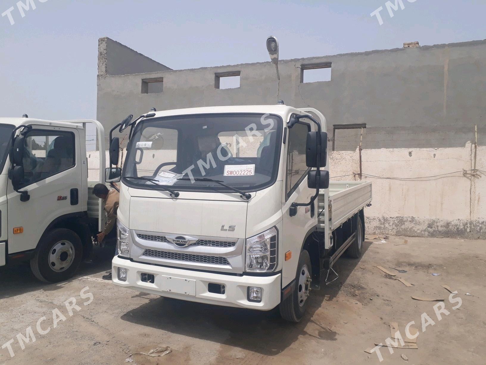 Forland H2 2025 - 320 000 TMT - Мары - img 4