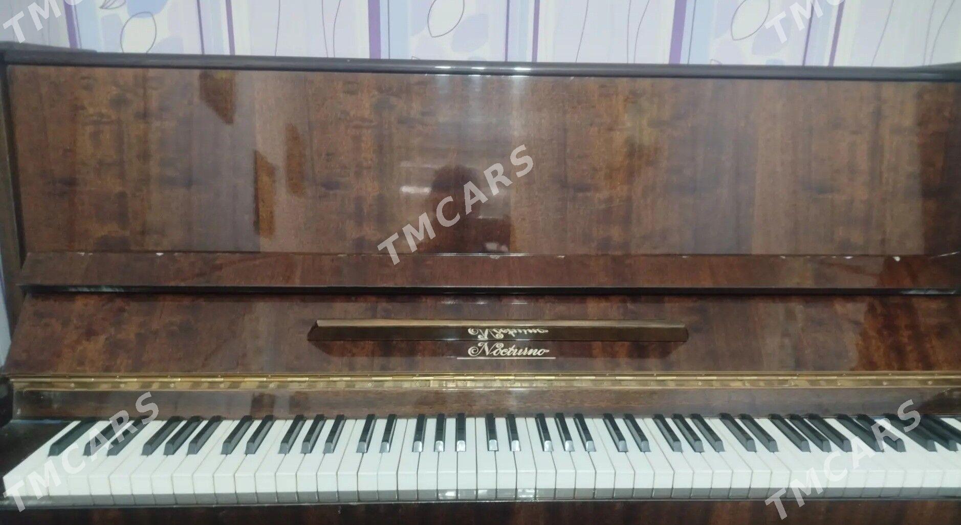 PIANINO pianina - Balkanabat - img 2