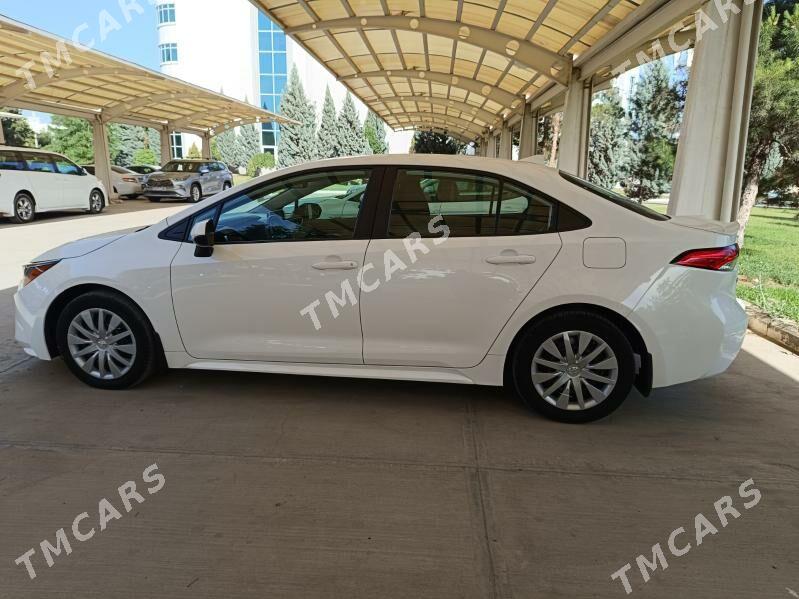 Toyota Corolla 2020 - 240 000 TMT - Türkmenabat - img 4
