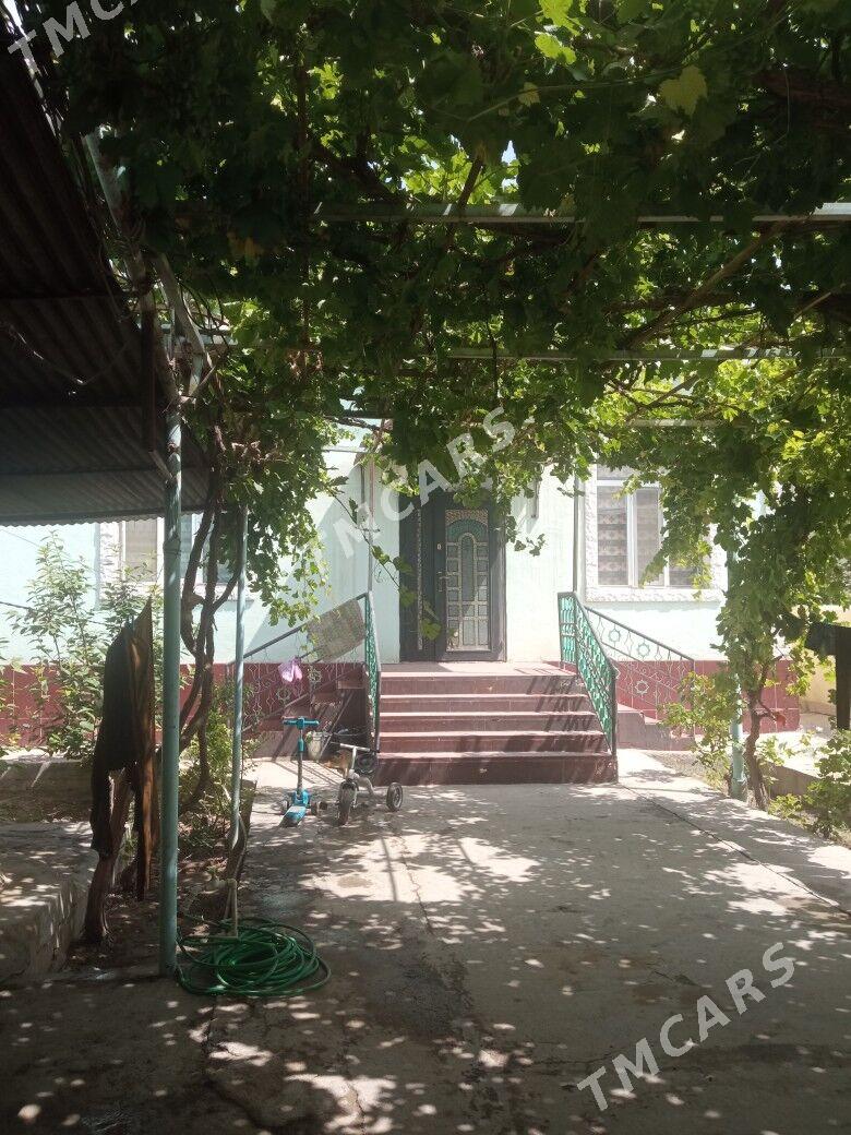 şatlyk jaý - Änew - img 3