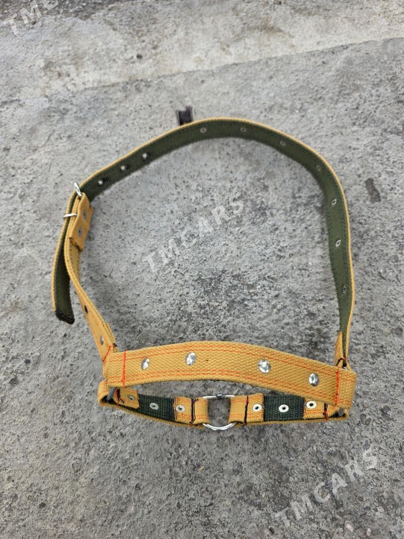 Mallar üçin nogtalar - Köşi - img 2