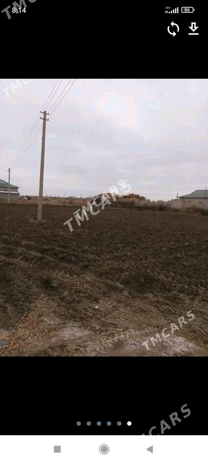 koneurgenc.satlyk.jaylar - Köneürgenç - img 10