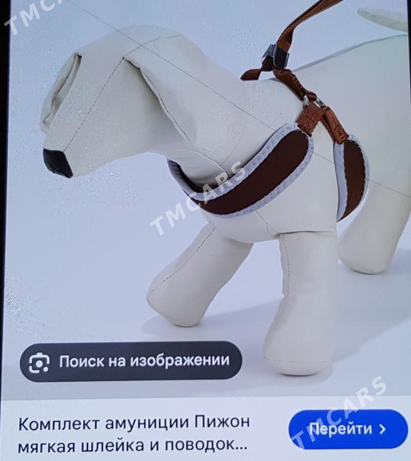 Поводок. - 2 mkr - img 2
