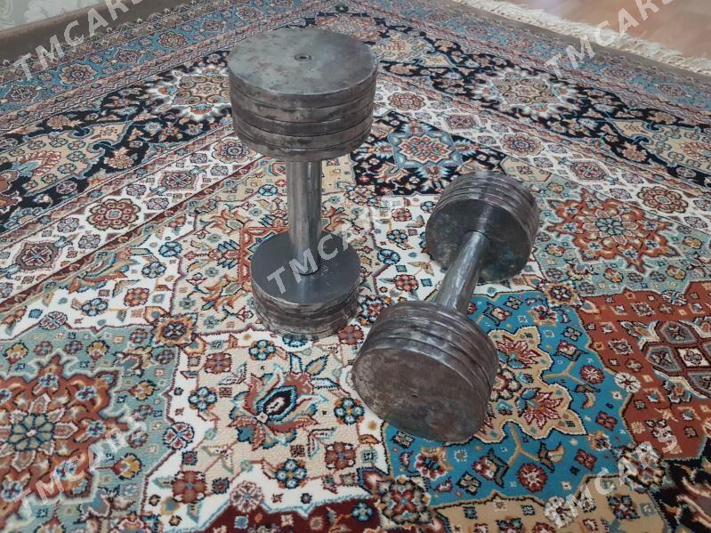 GANTEL 11KG   Гантели - Туркменбаши - img 3